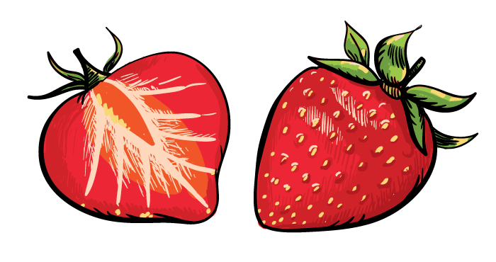 Orchid and strawberry - image 2 - student project