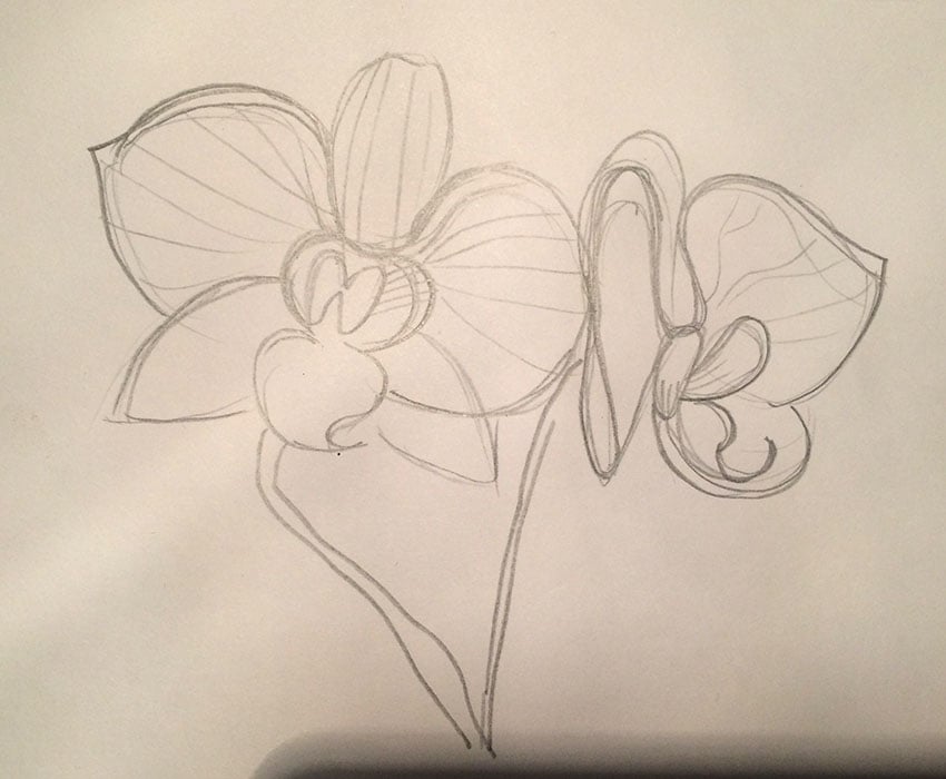 Orchid and strawberry - image 3 - student project