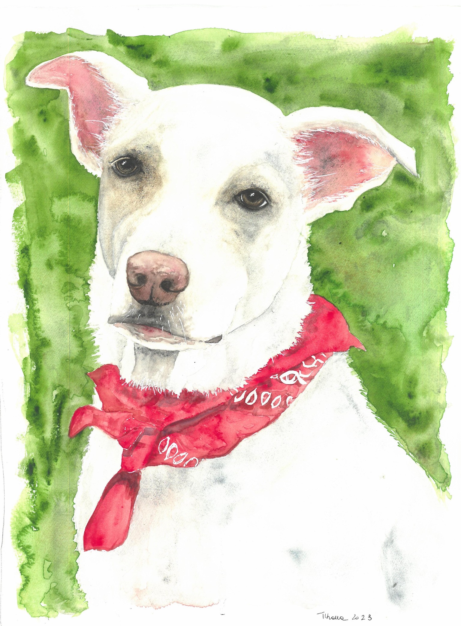 Animale bianco - image 1 - student project