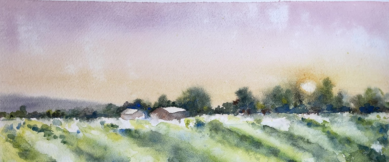 Campo - image 1 - student project