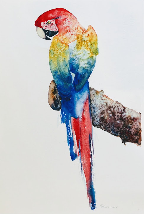 Parrot - image 1 - student project