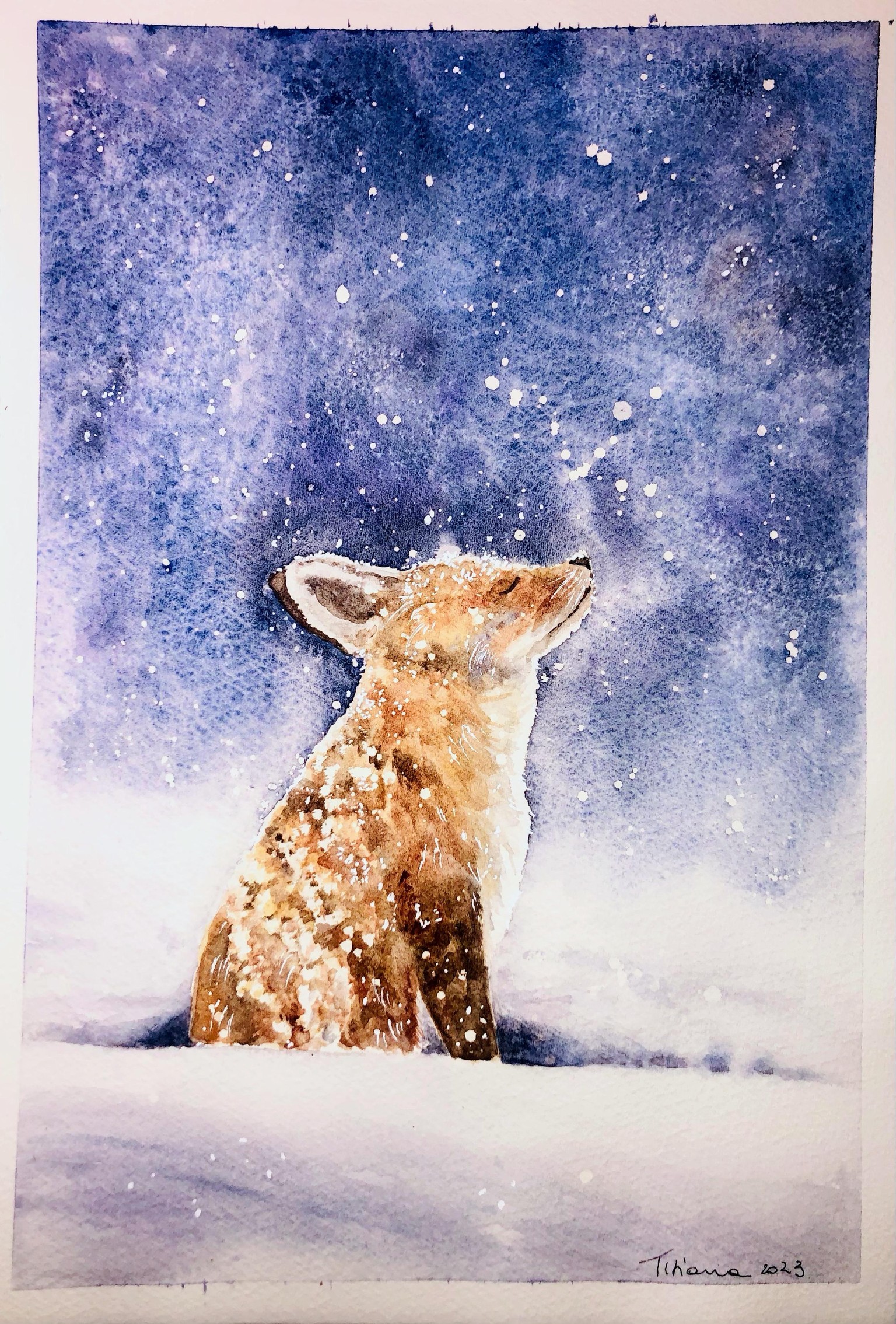 Fox - image 1 - student project