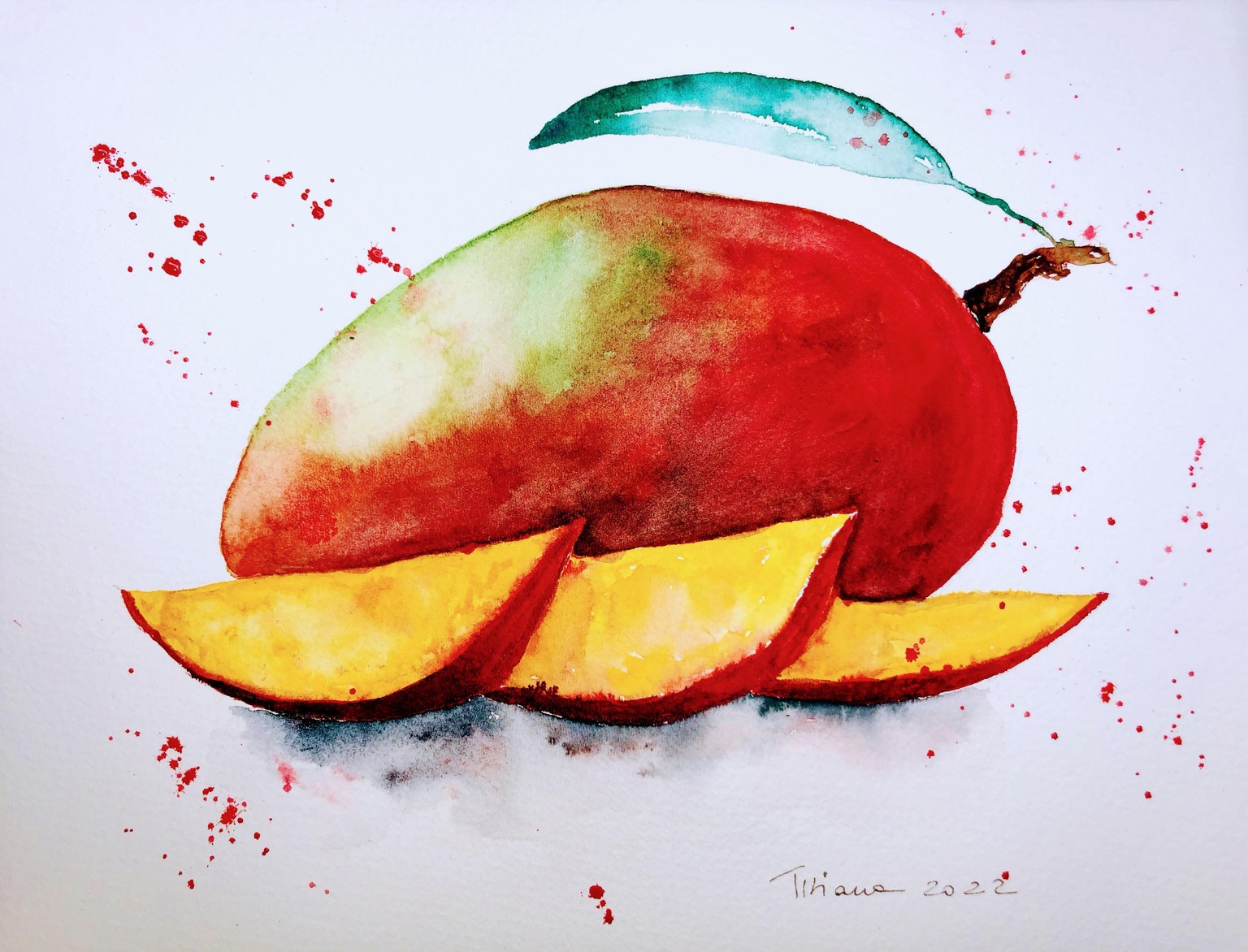 Mango - image 1 - student project