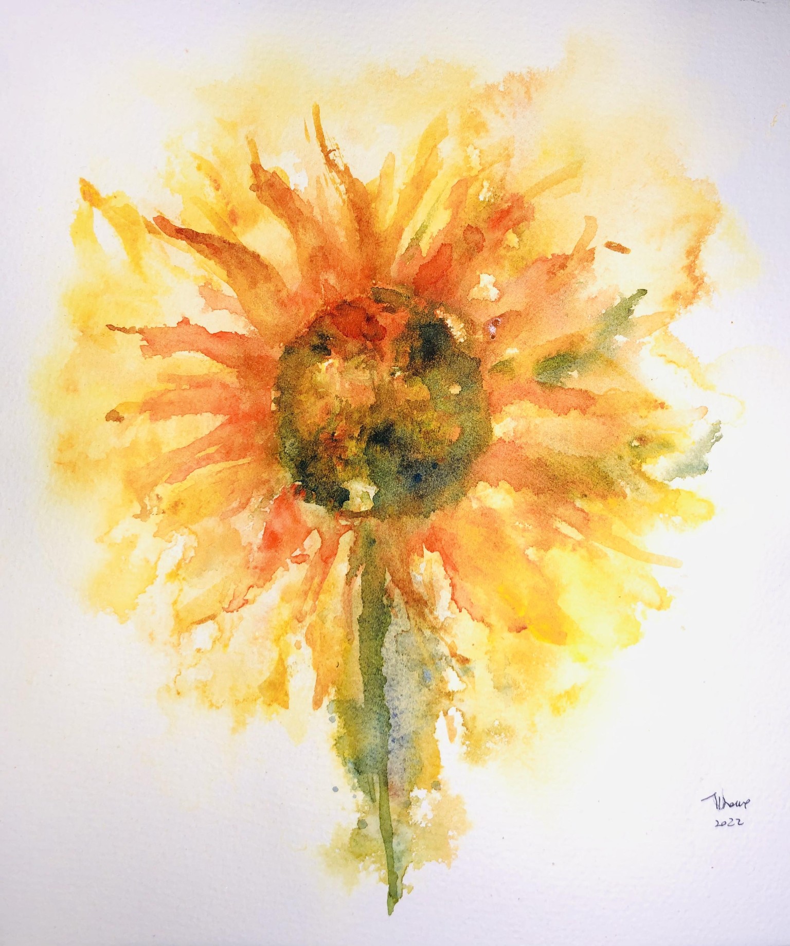 Girasole - image 1 - student project