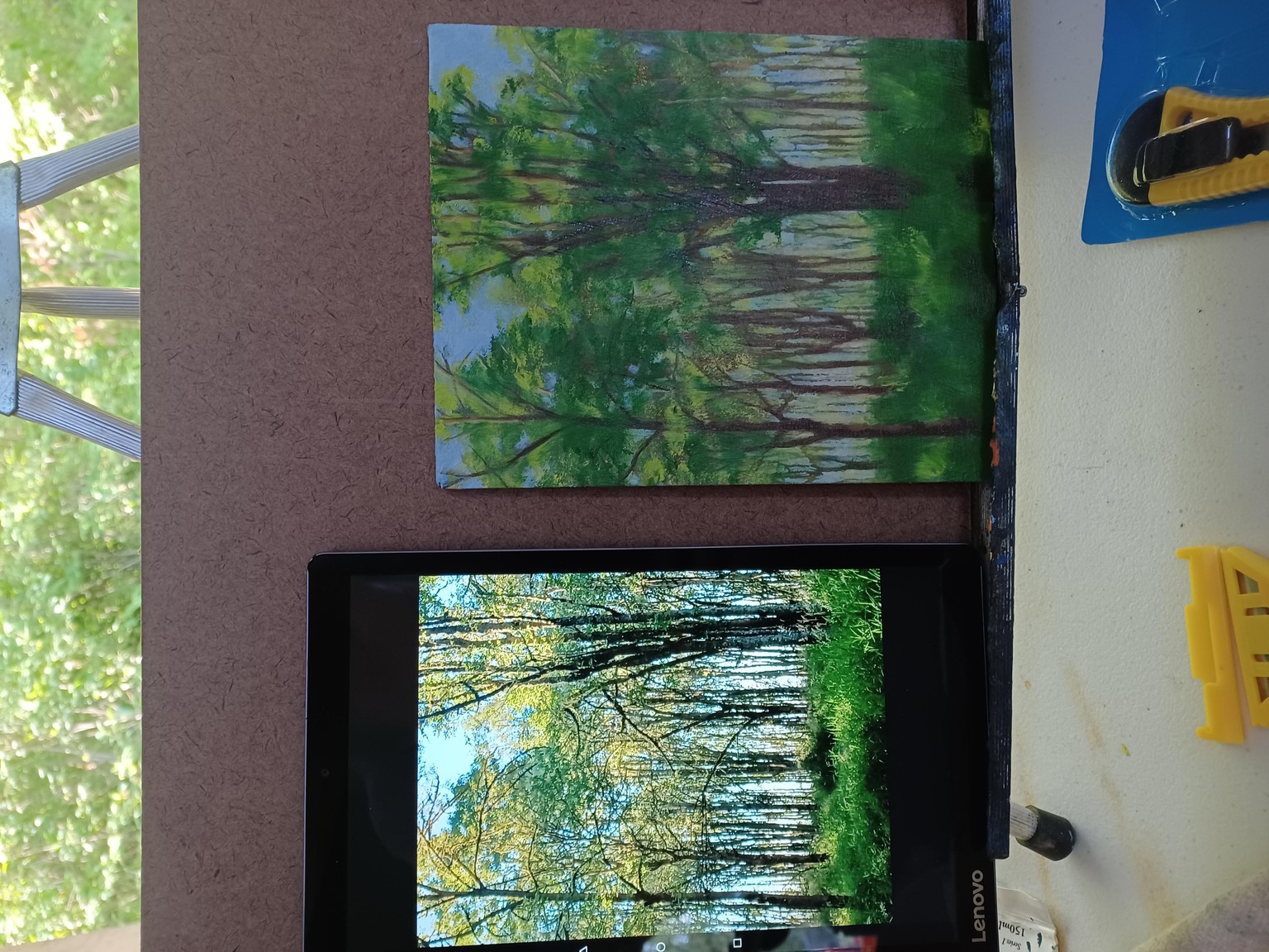 cool morning Ash forest - image 2 - student project