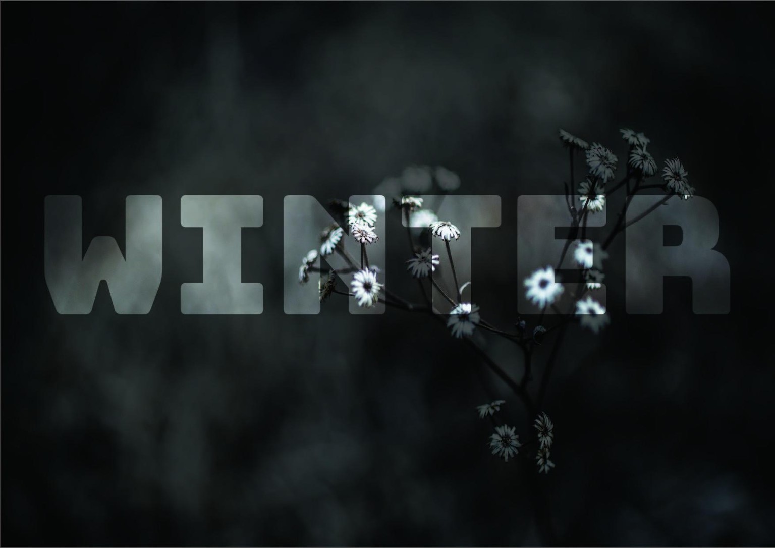 the first one. - image 1 - student project
