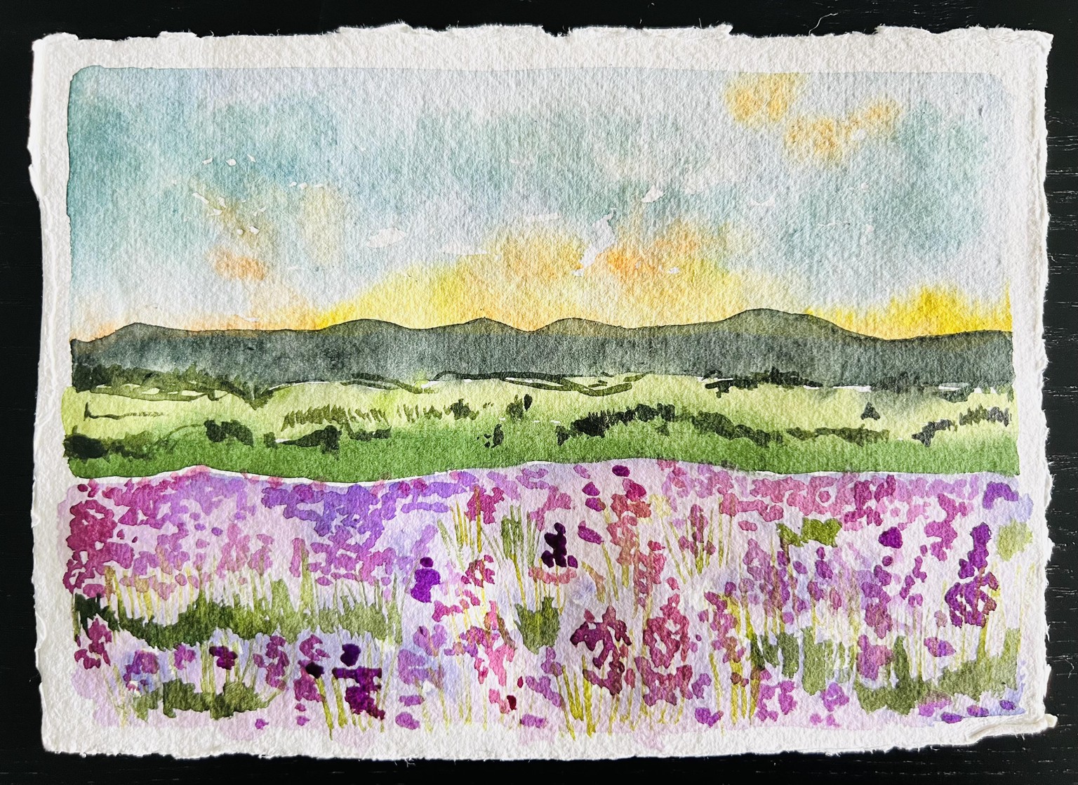 Lavender Fields - image 1 - student project