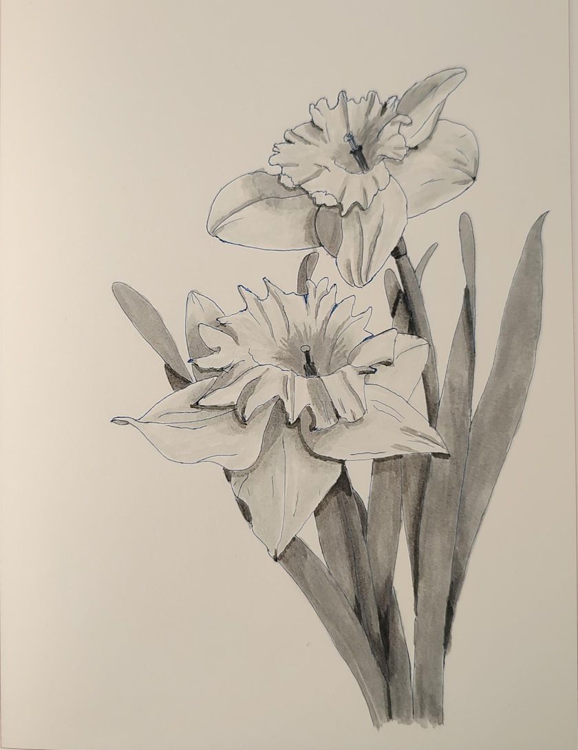 230512_Daffodils - image 3 - student project