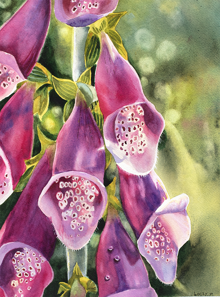 Fox Glove - image 2 - student project