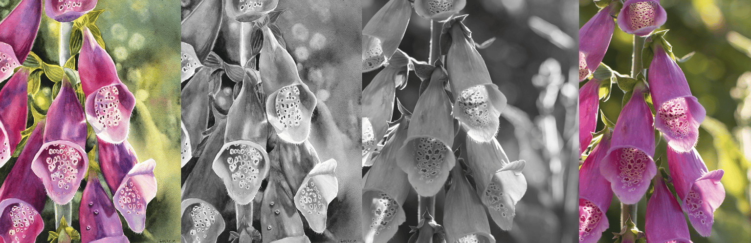 Fox Glove - image 3 - student project