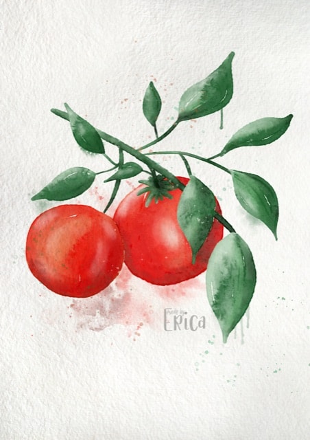 Tomatoes - image 1 - student project