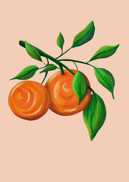 Tomatoes - image 2 - student project