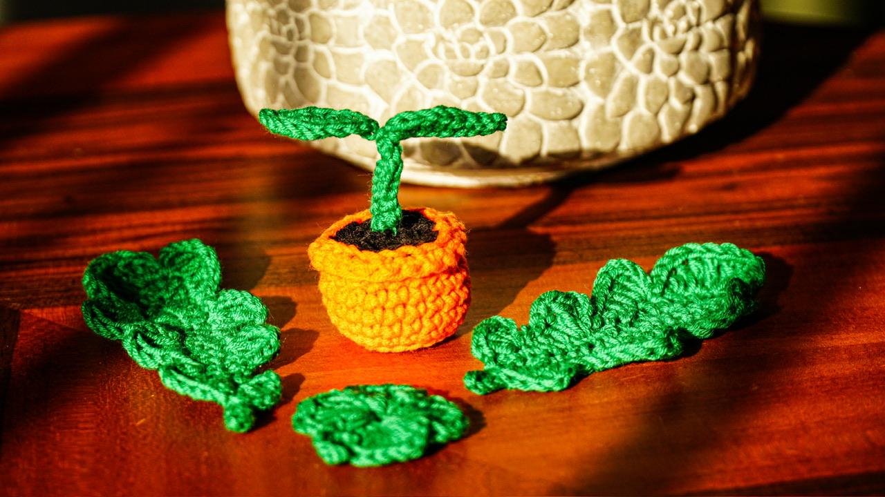 mini nature - image 1 - student project