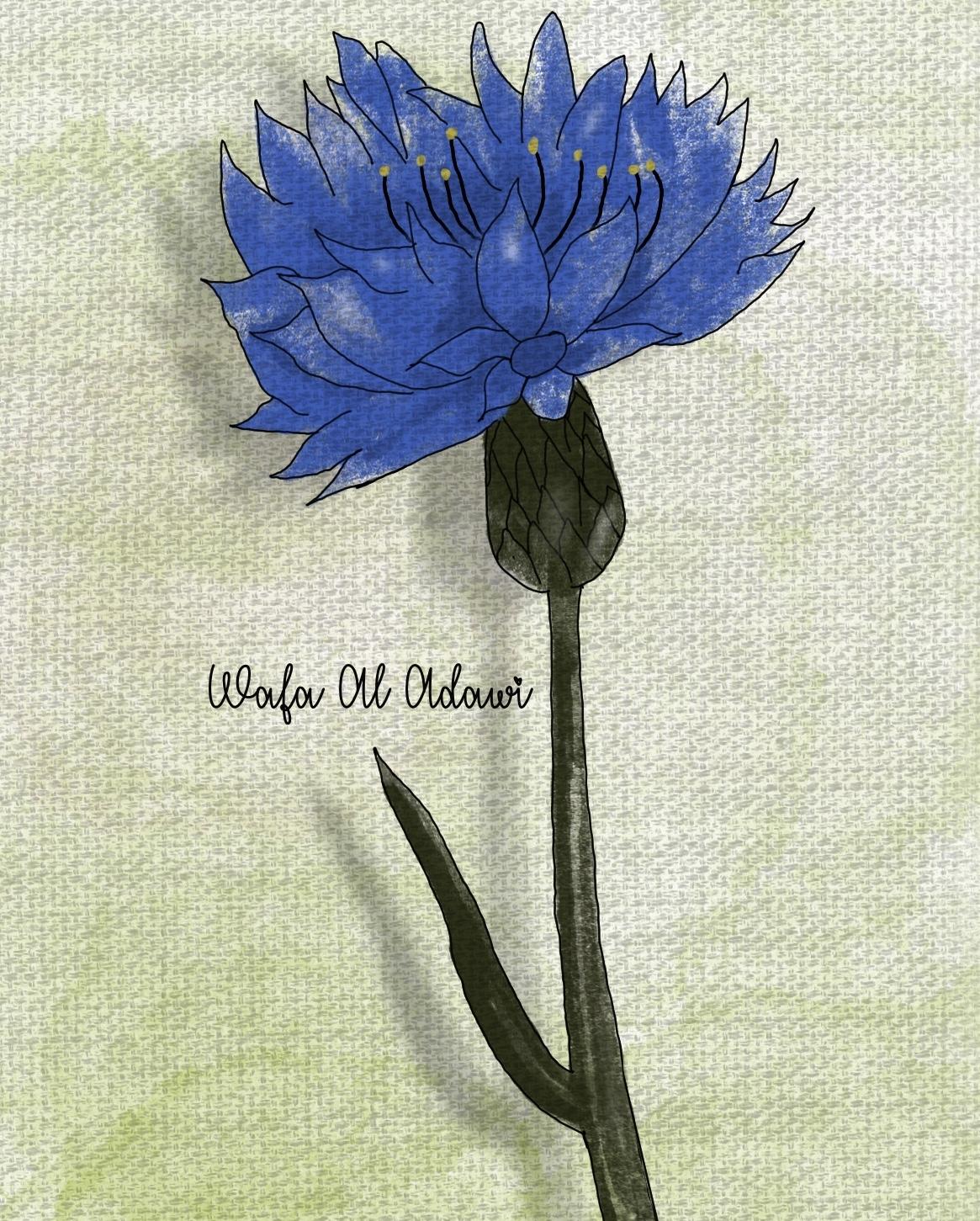 Flower - image 1 - student project