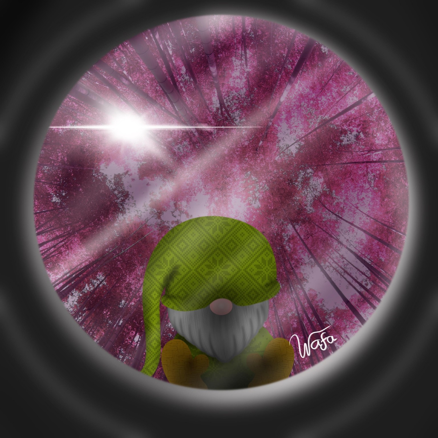 Camera & Gnome - image 1 - student project
