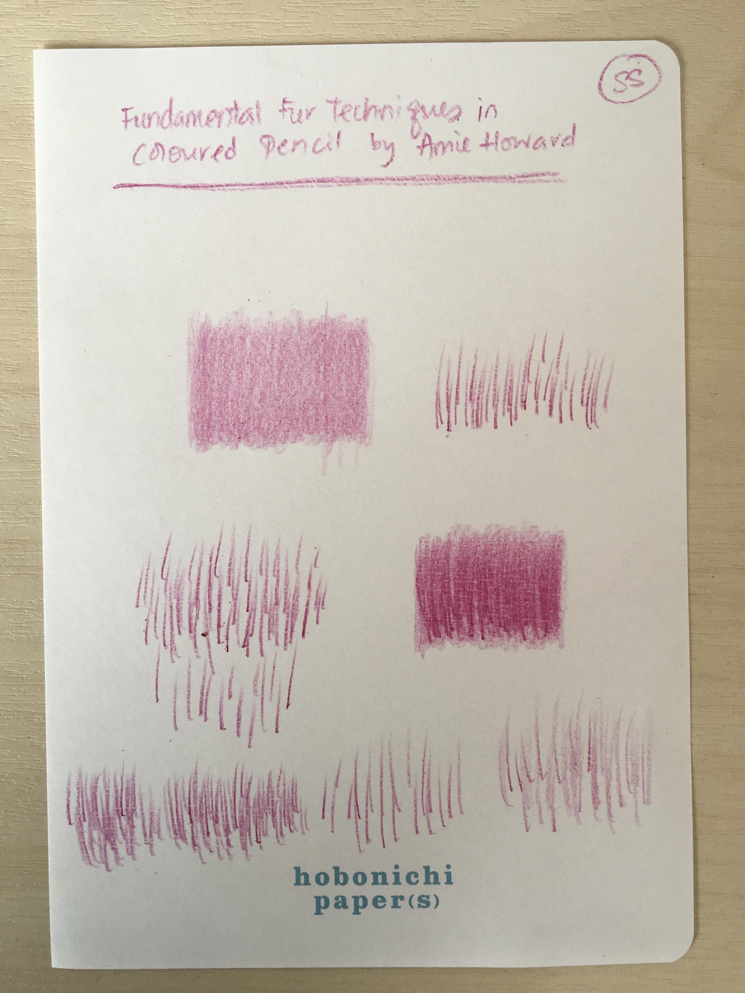 Fur Techniques - image 1 - student project