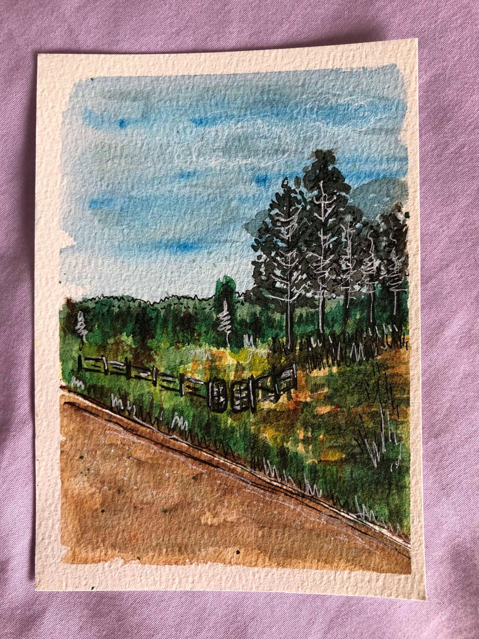 Landscapes - image 3 - student project