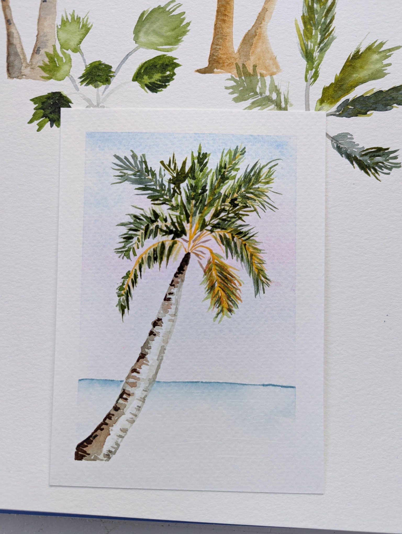 Tropical Studies and Palm Trees - image 6 - student project