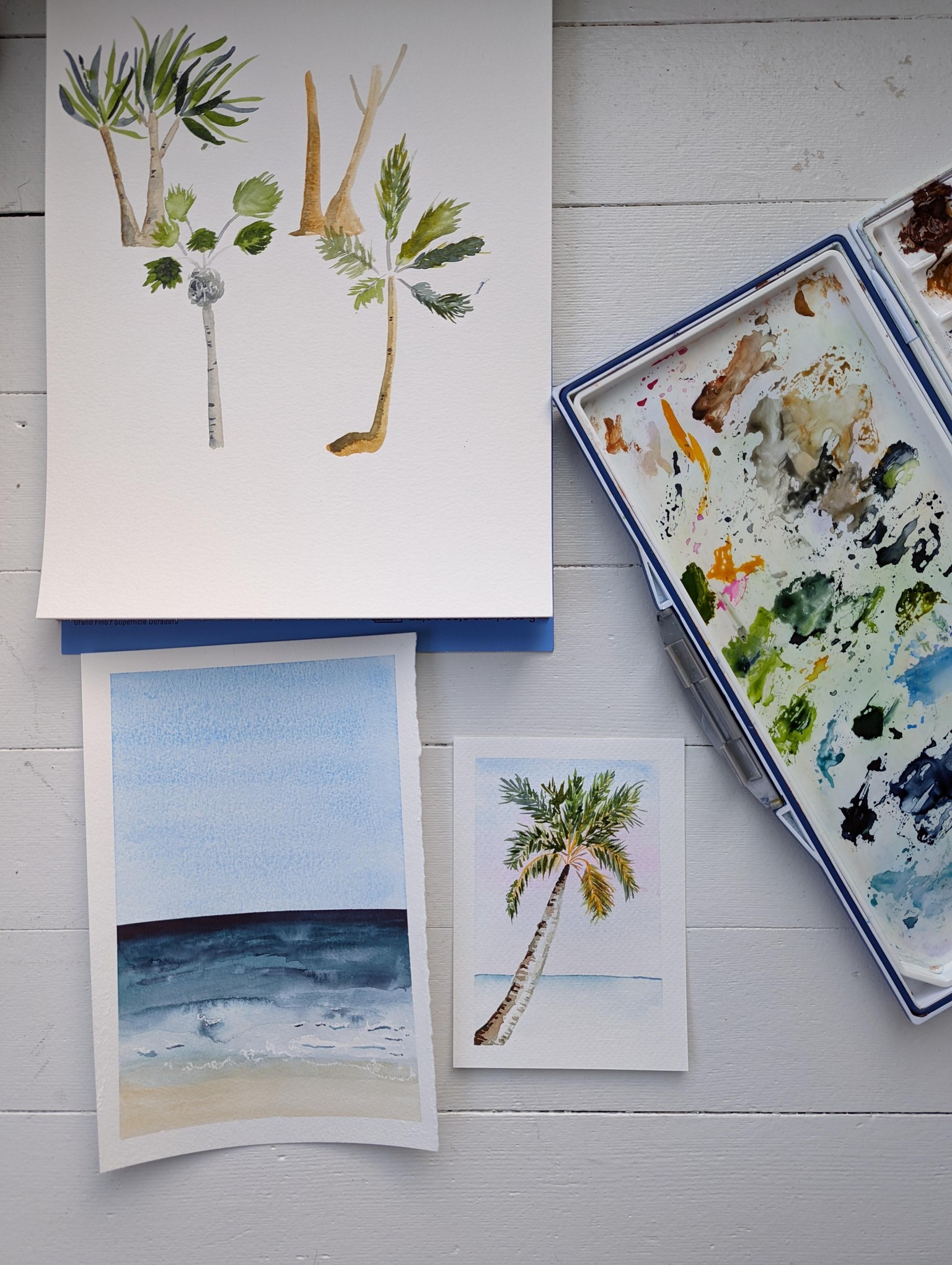Tropical Studies and Palm Trees - image 1 - student project