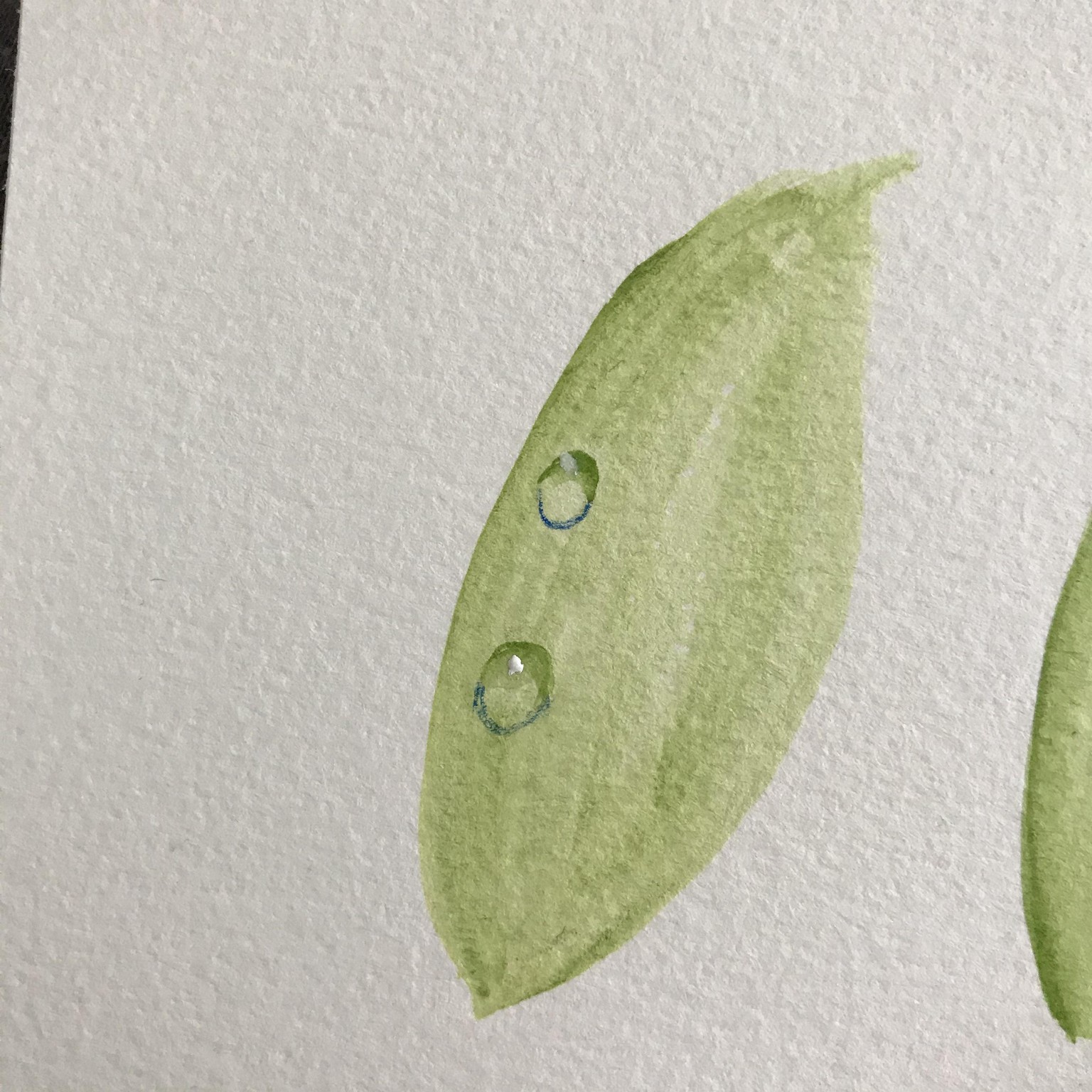 Tips and Trick and Yay - Dewdrop - finally! - image 1 - student project