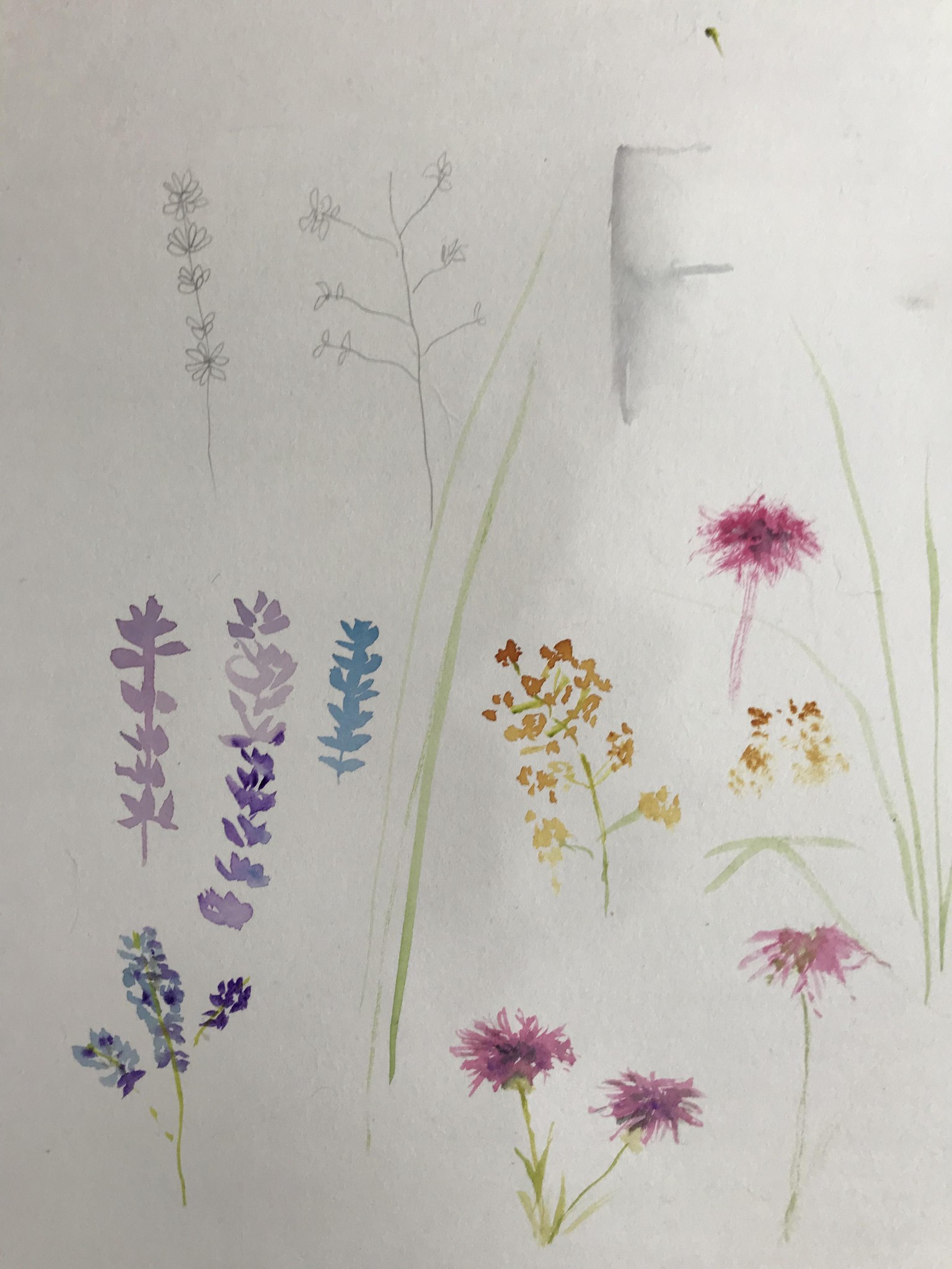 Loose flowers that could have been a lot looser lol - image 1 - student project