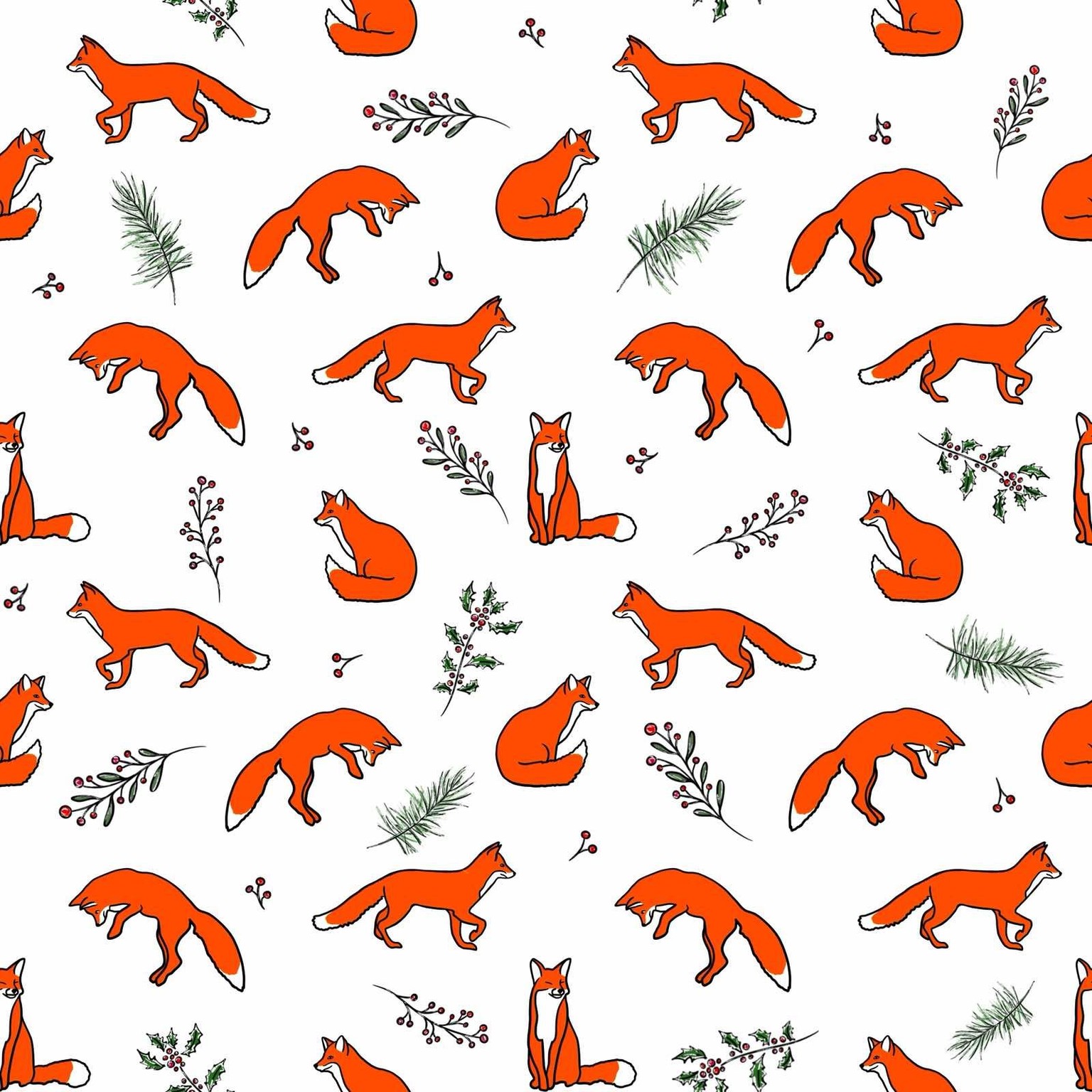 Christmas foxes - image 1 - student project