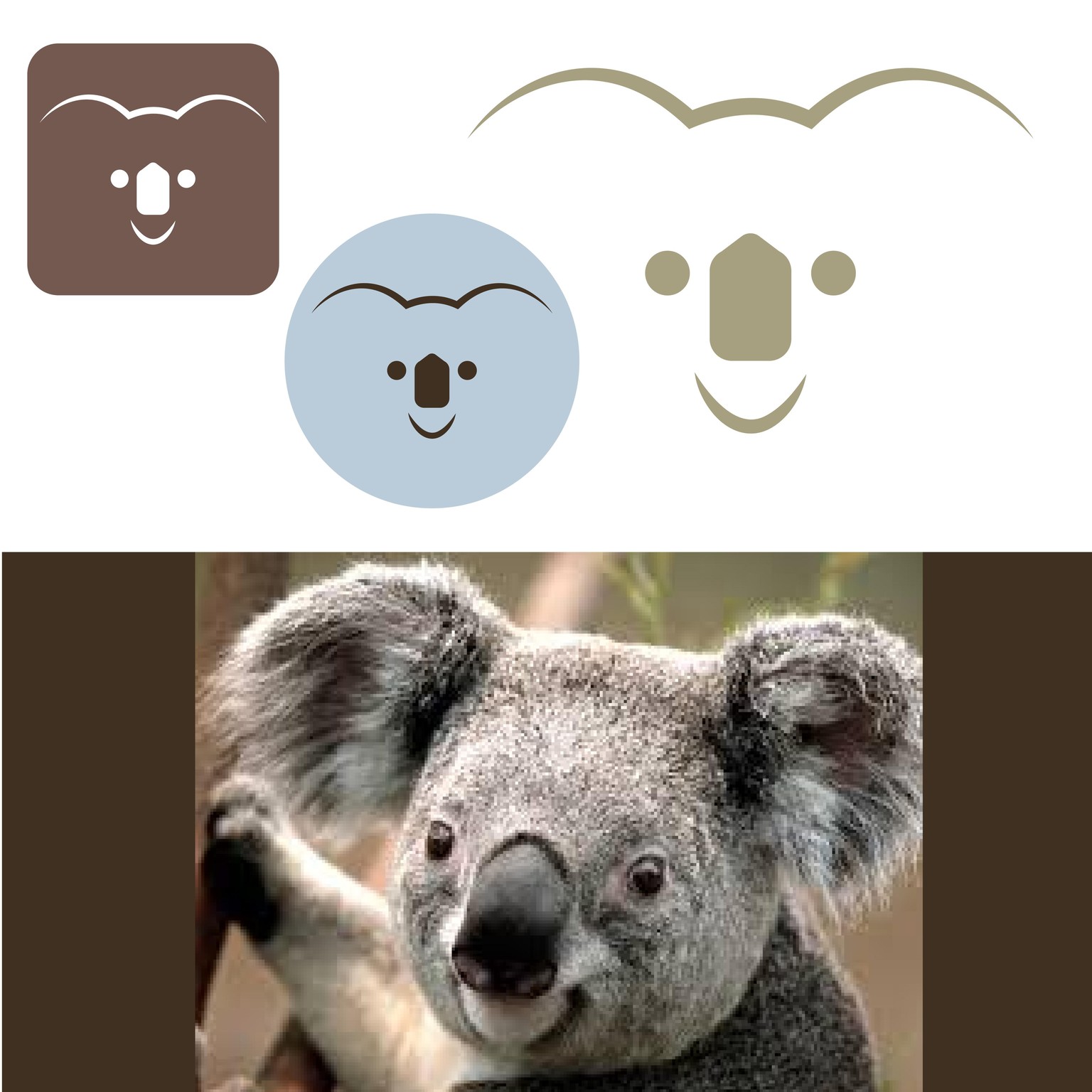koala - image 1 - student project
