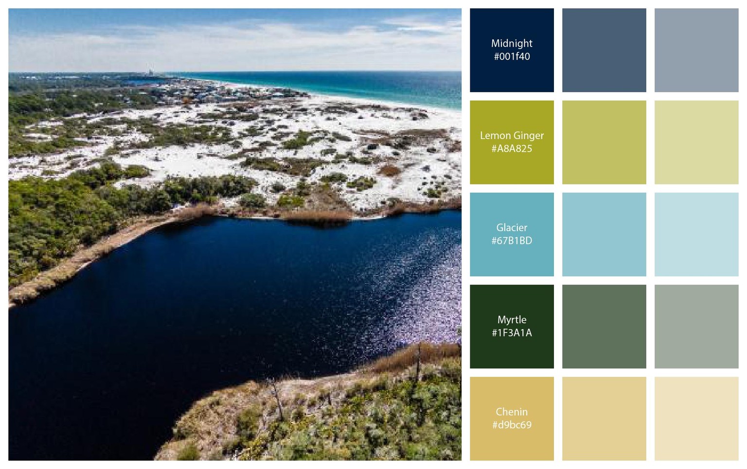 color scheme - image 1 - student project