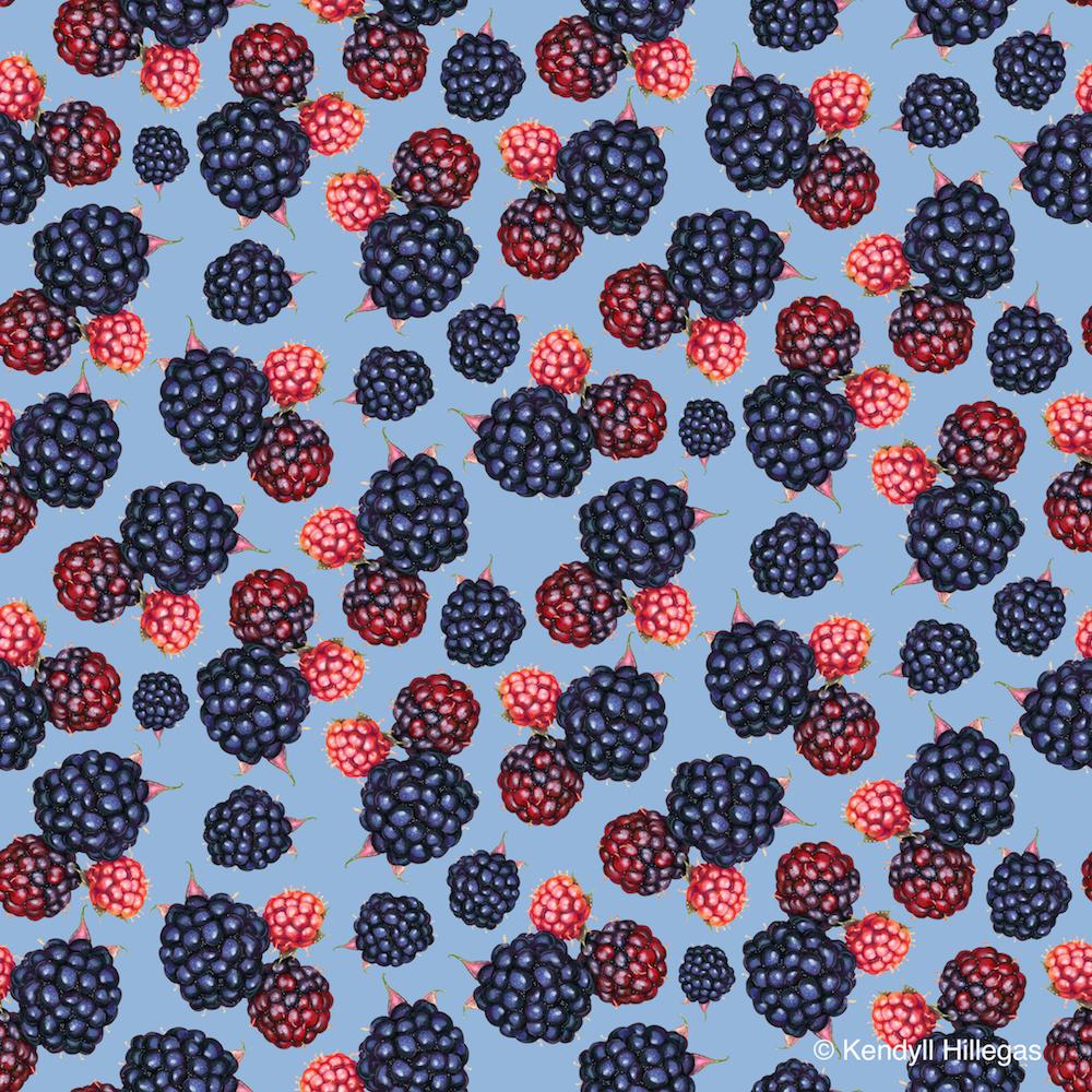 Blackberry Cluster (Sample Project) - image 3 - student project