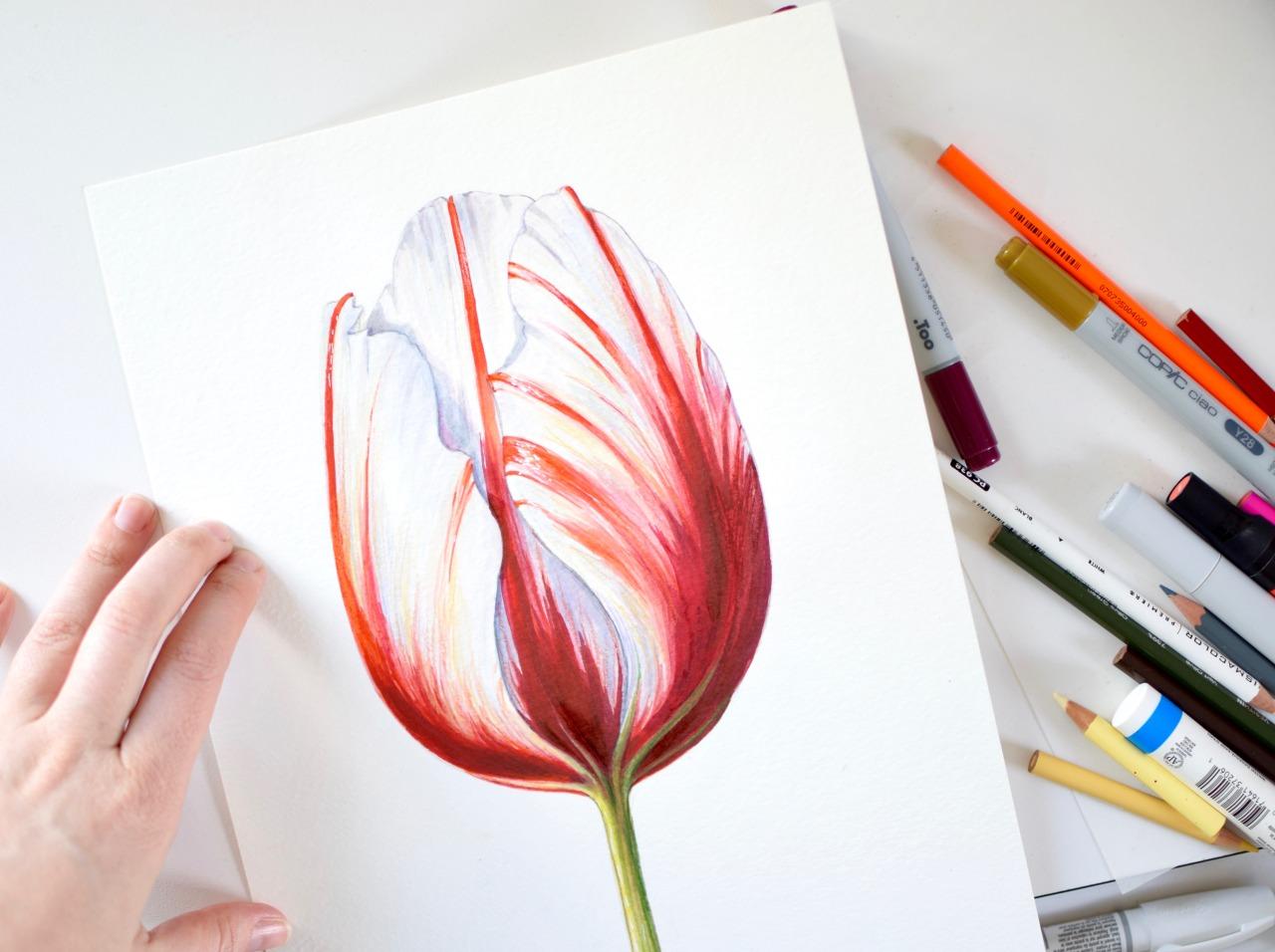 Vintage-inspired Tulip (Sample Project) - image 4 - student project