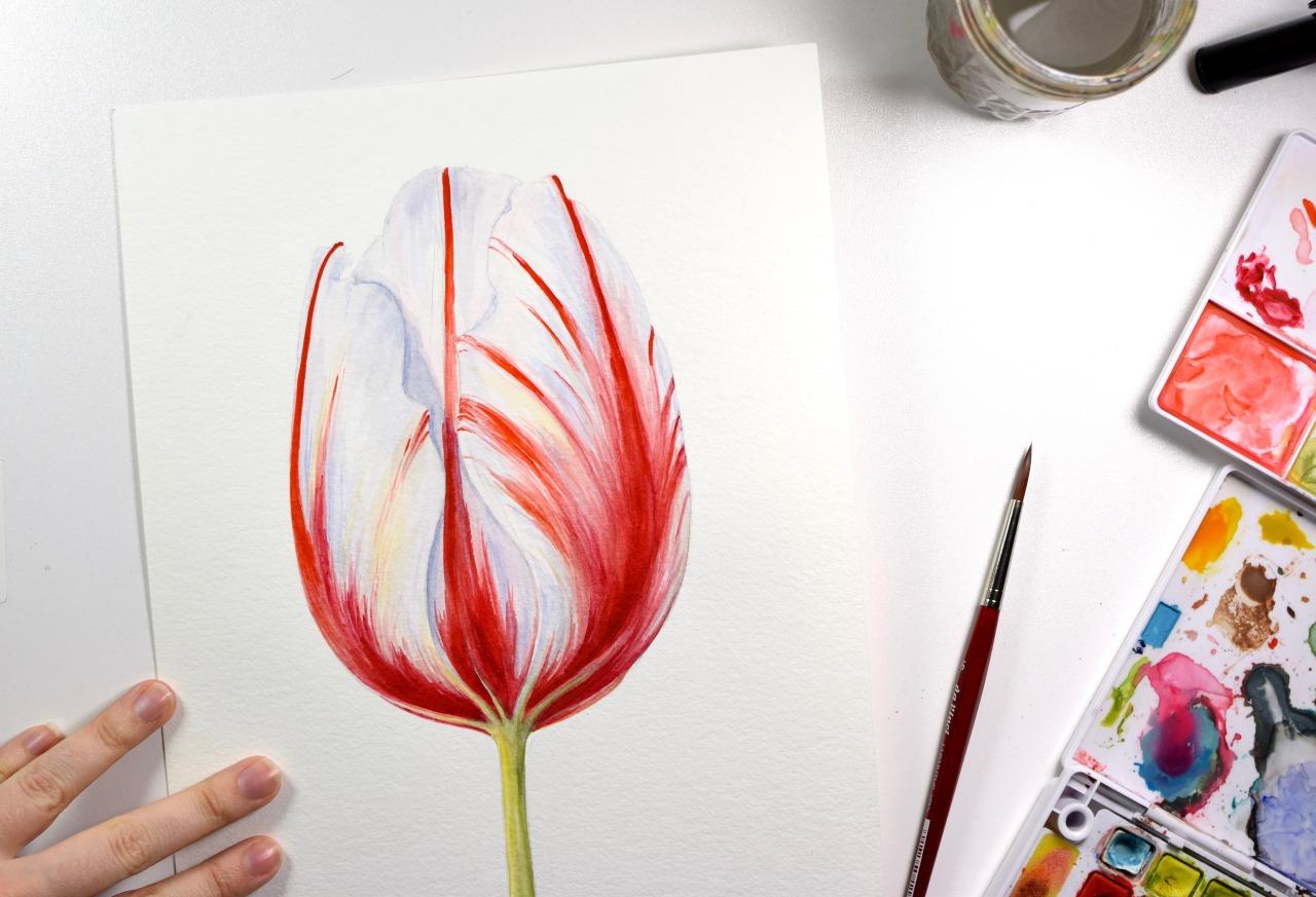 Vintage-inspired Tulip (Sample Project) - image 3 - student project