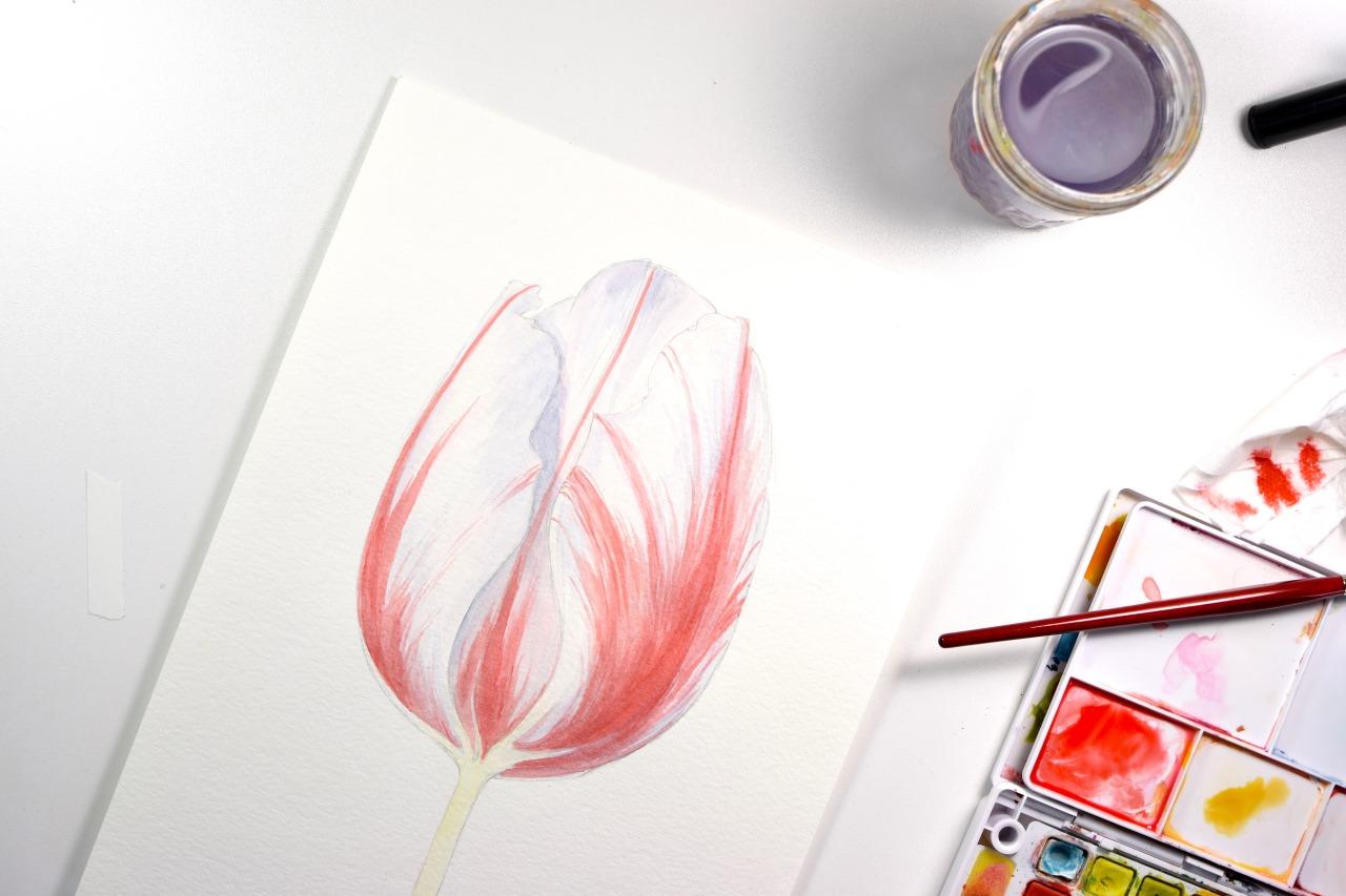 Vintage-inspired Tulip (Sample Project) - image 2 - student project