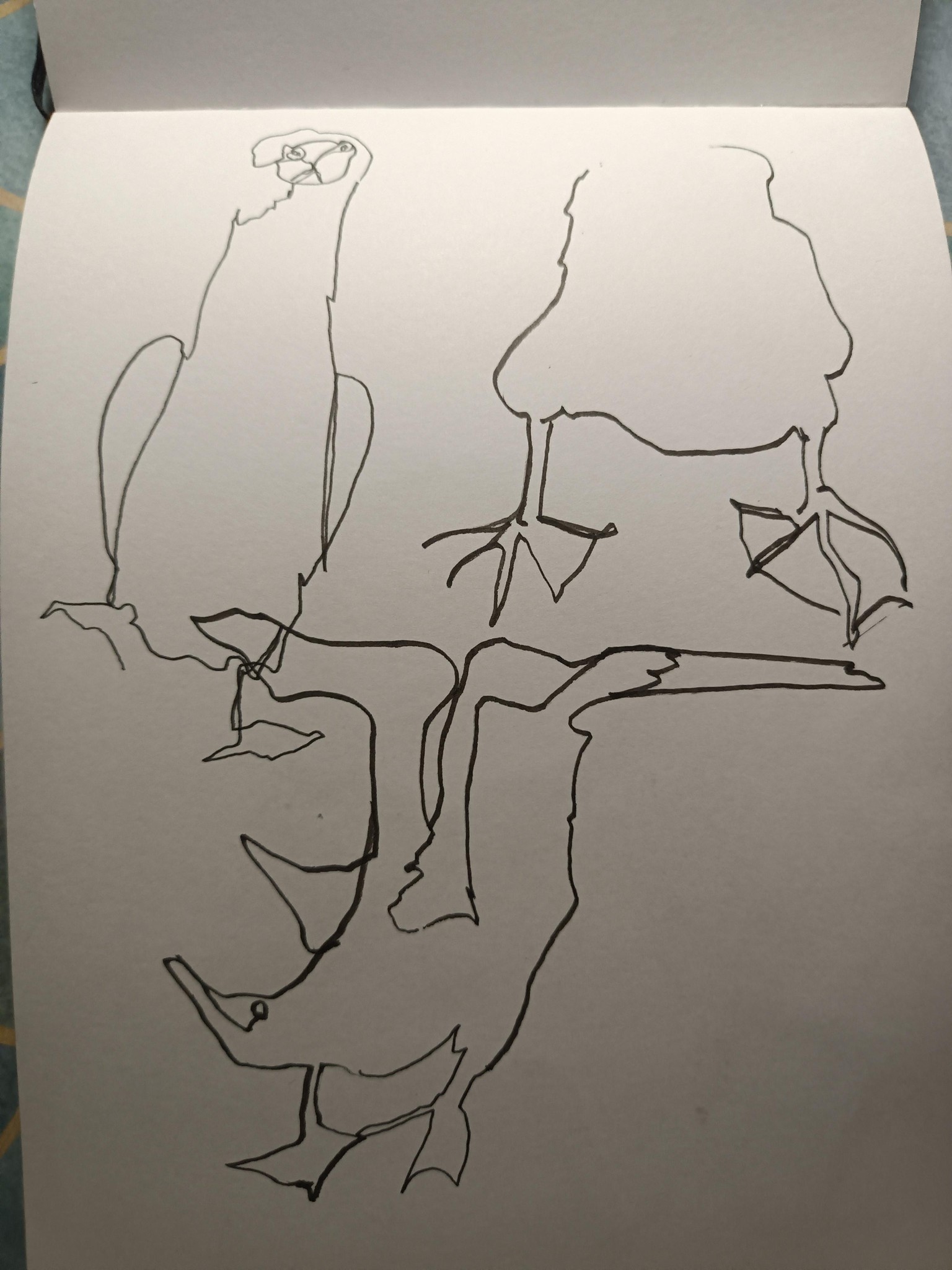 Taking your hand on a walk - image 2 - student project