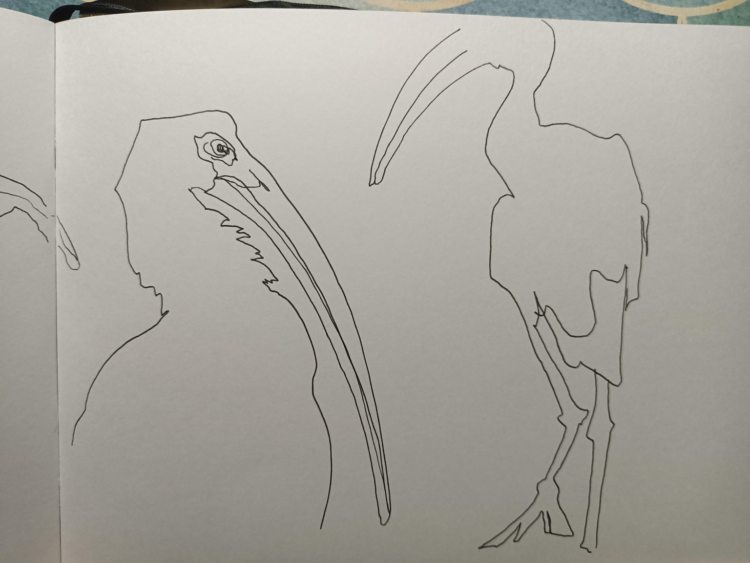 Taking your hand on a walk - image 7 - student project