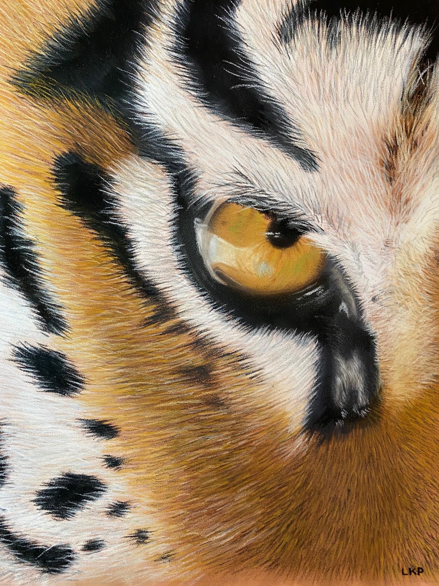 Tiger Eye - PanPastel & Pastel Pencils - image 1 - student project