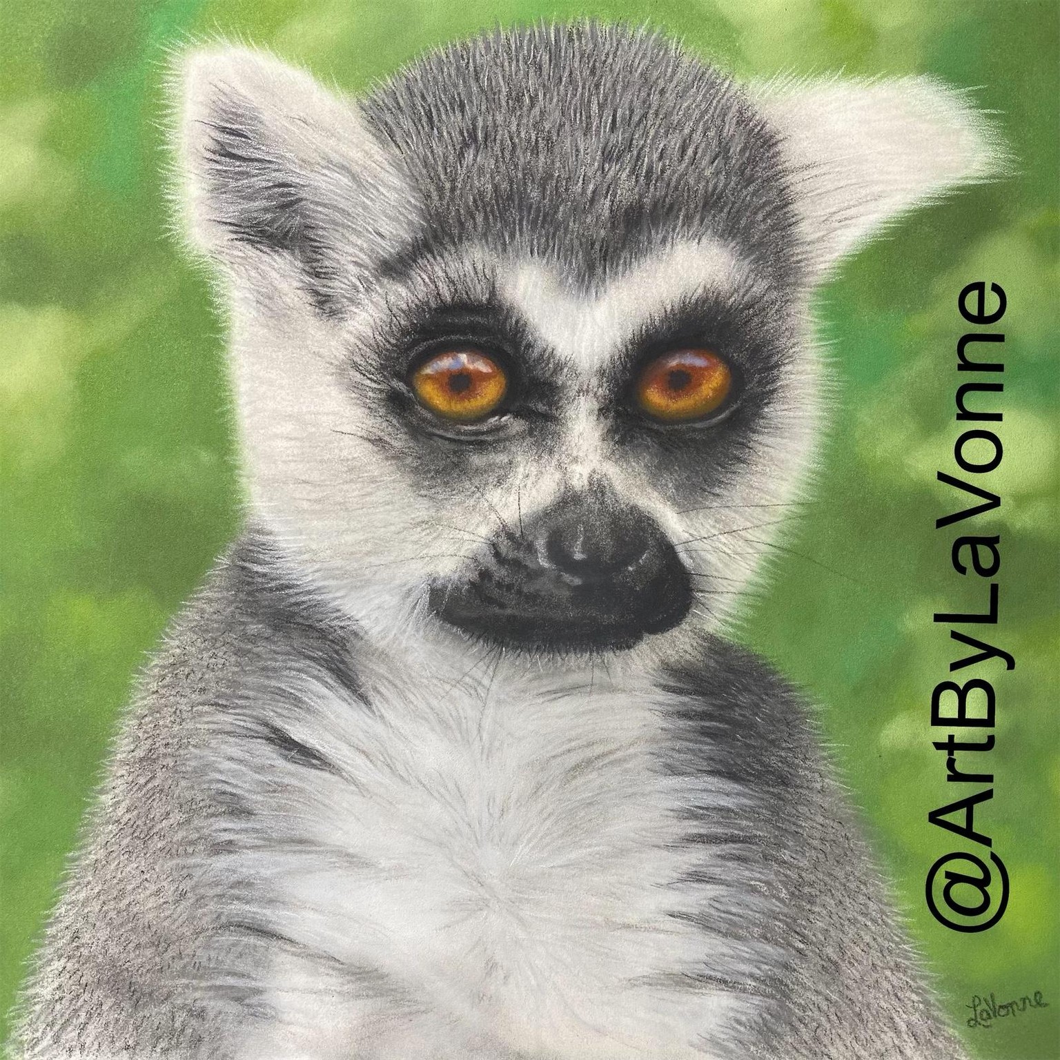 Cute Little Lemur - image 1 - student project