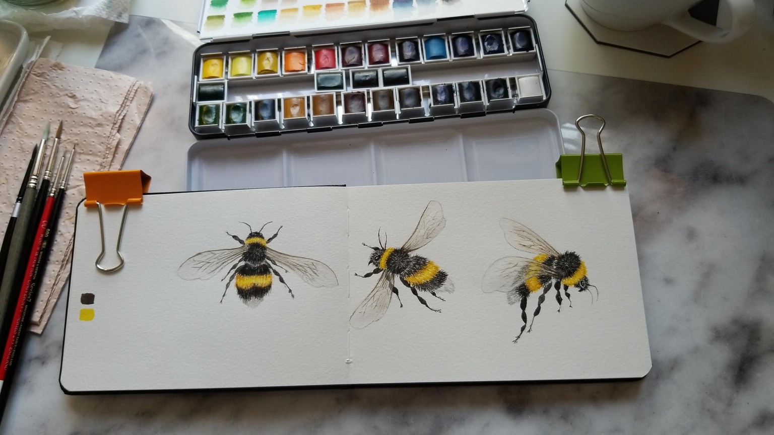 watercolour - Bee - image 4 - student project