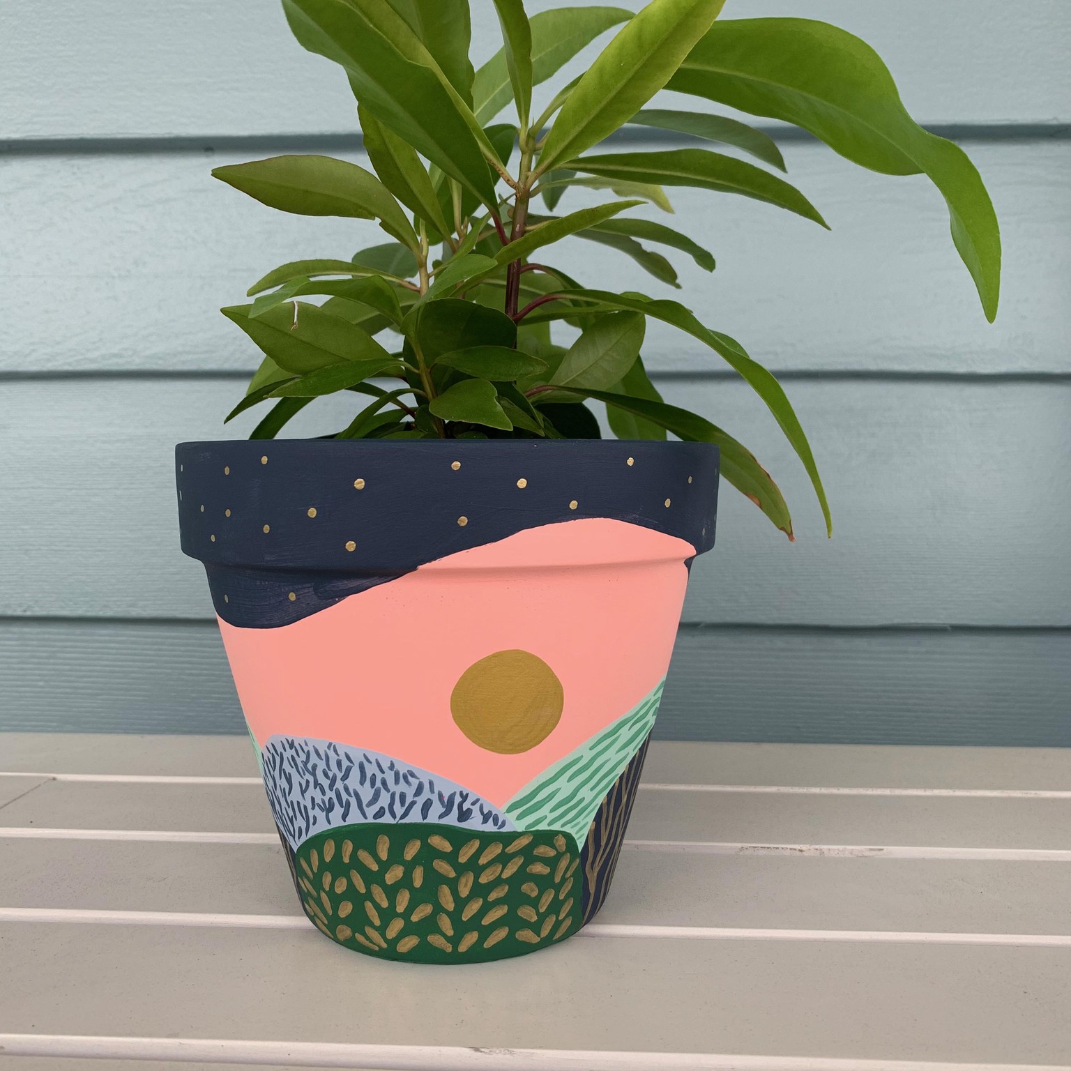 Painted Terracotta Pots - image 4 - student project