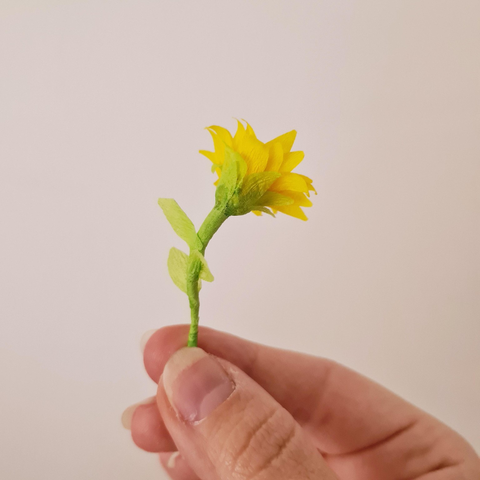 Crepe paper miniature sunflower - image 3 - student project