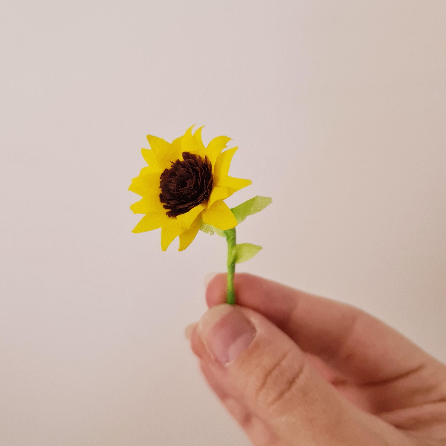 Crepe paper miniature sunflower - image 1 - student project