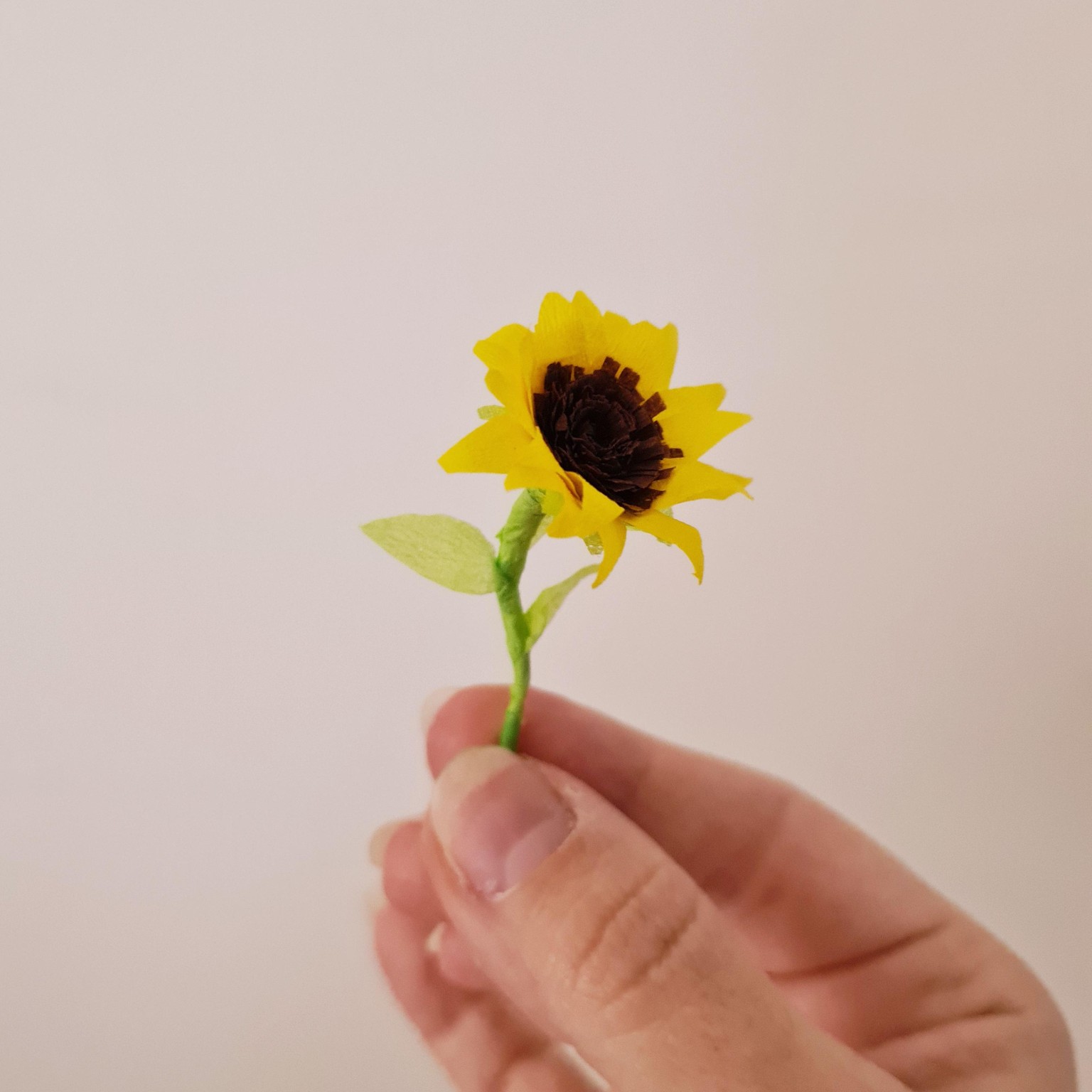 Crepe paper miniature sunflower - image 2 - student project
