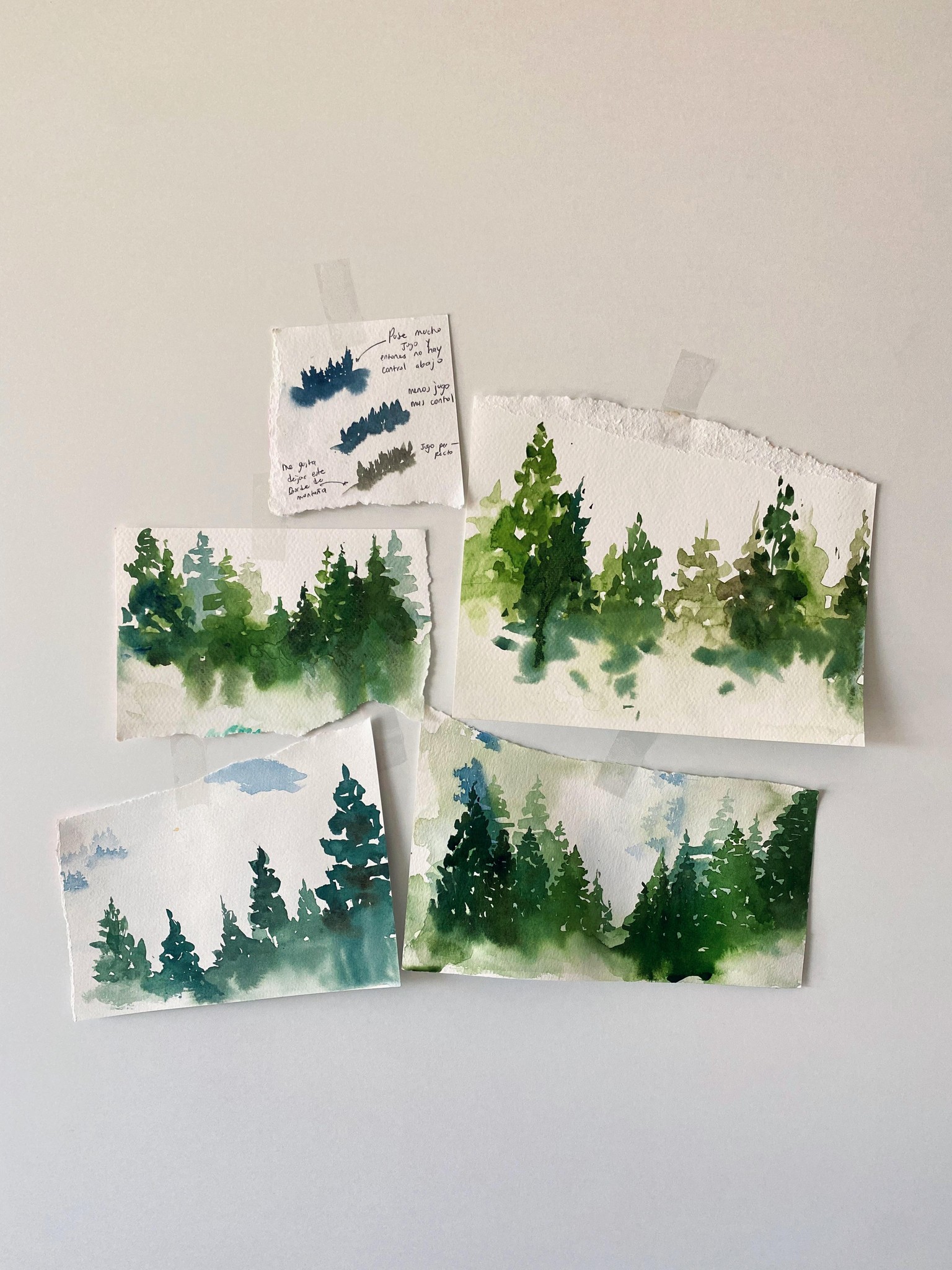 Mi bosque que llora - image 1 - student project