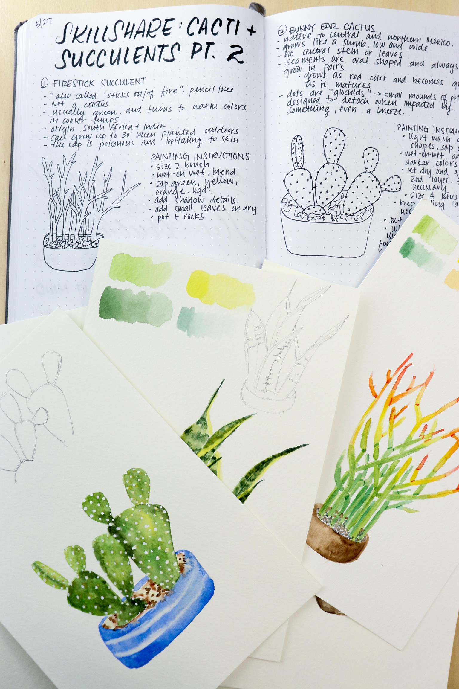 Watercolor Cacti & Succulents Project - image 2 - student project