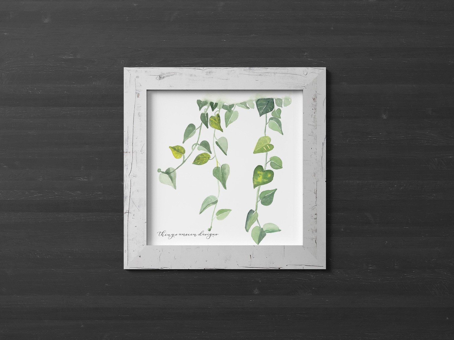 Pothos Plant Project - image 2 - student project