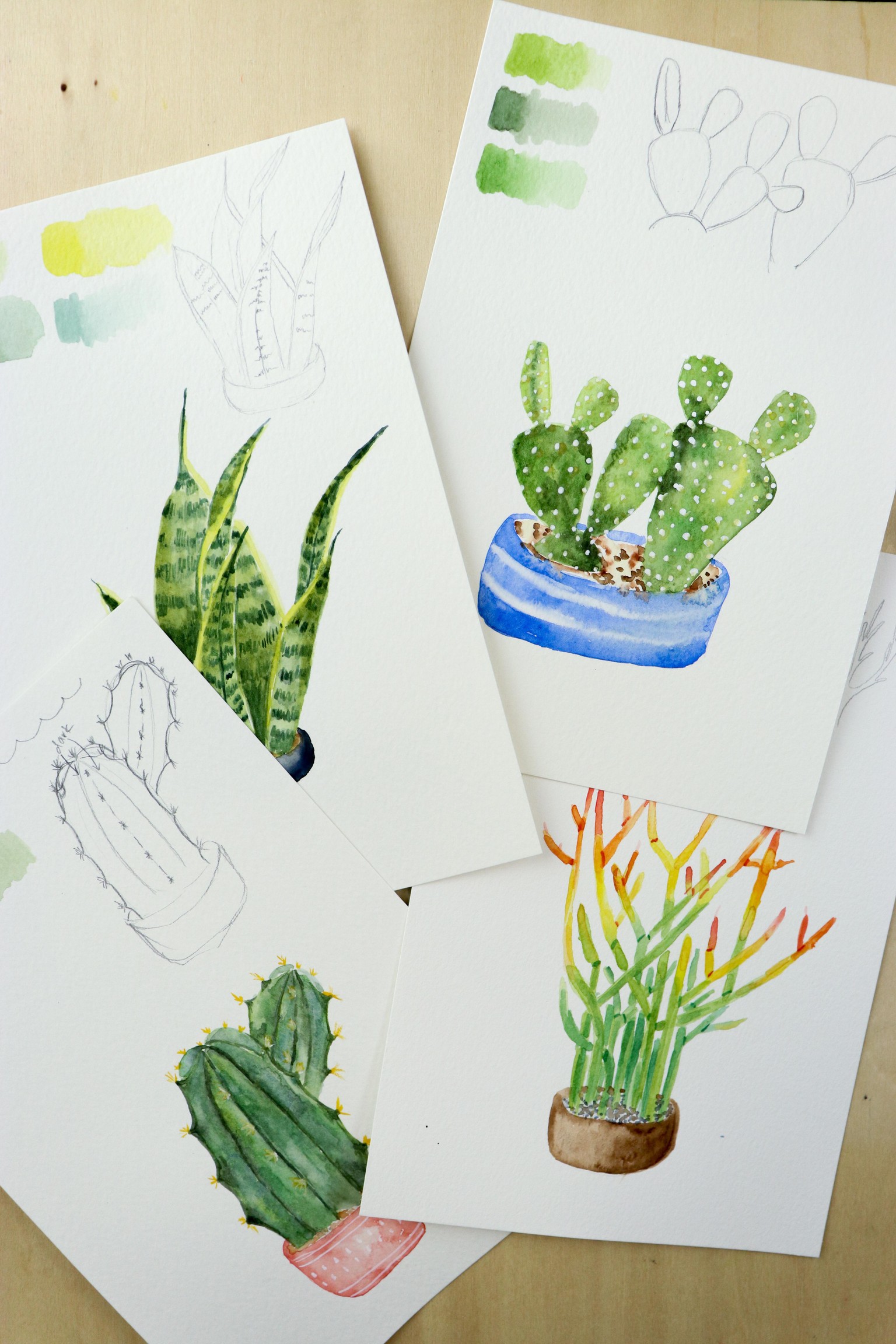 Watercolor Cacti & Succulents Project - image 1 - student project