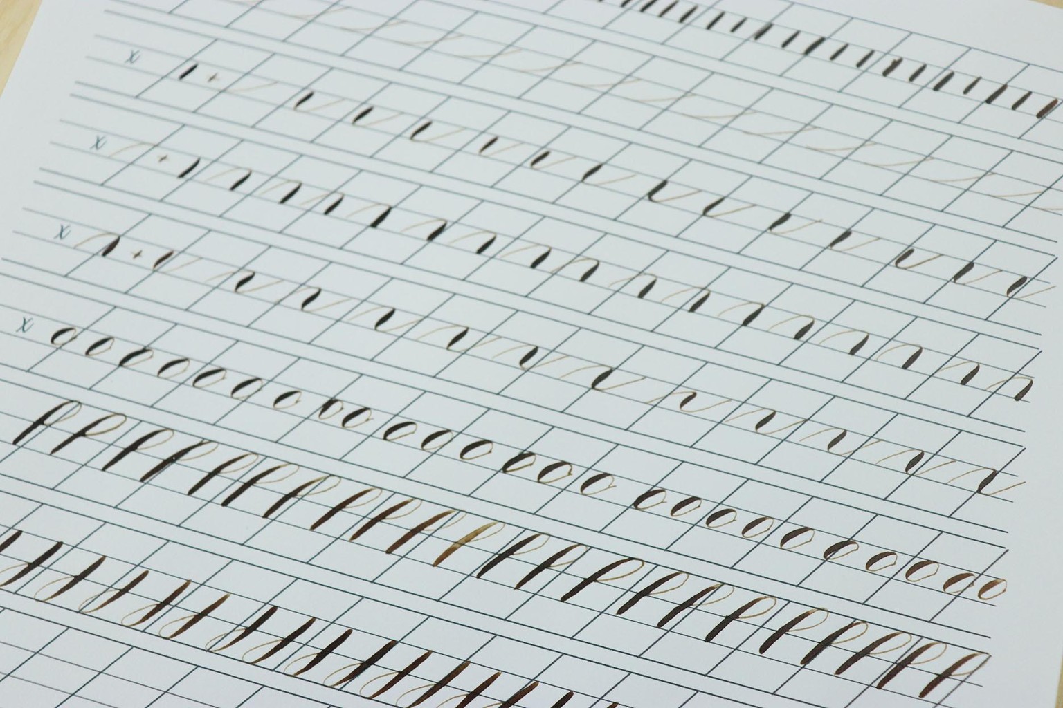 Modern Calligraphy: Pointed Pen Basics Project - image 1 - student project