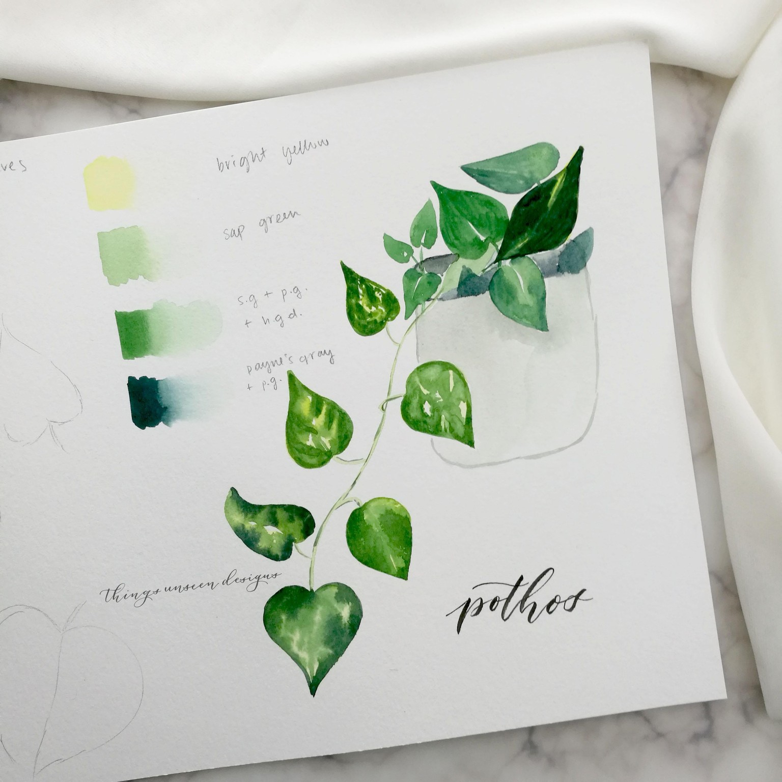 Pothos Plant Project - image 1 - student project