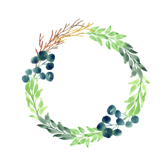 How to Digitize Watercolor Illustration - Sample Project - image 2 - student project