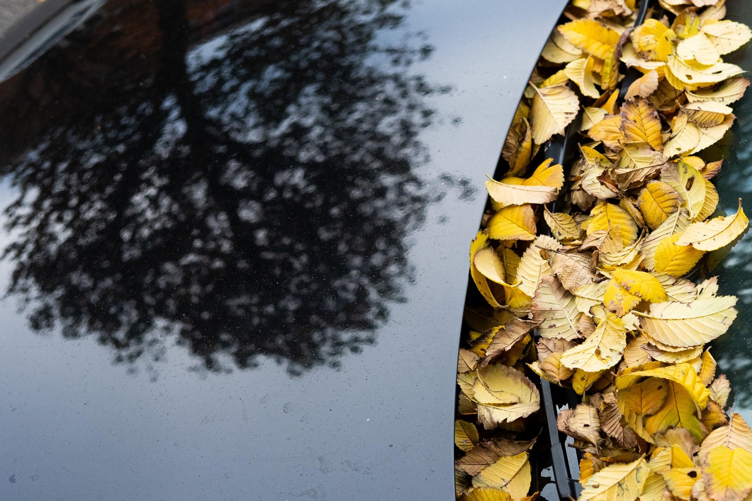 Juxtapositions - image 10 - student project