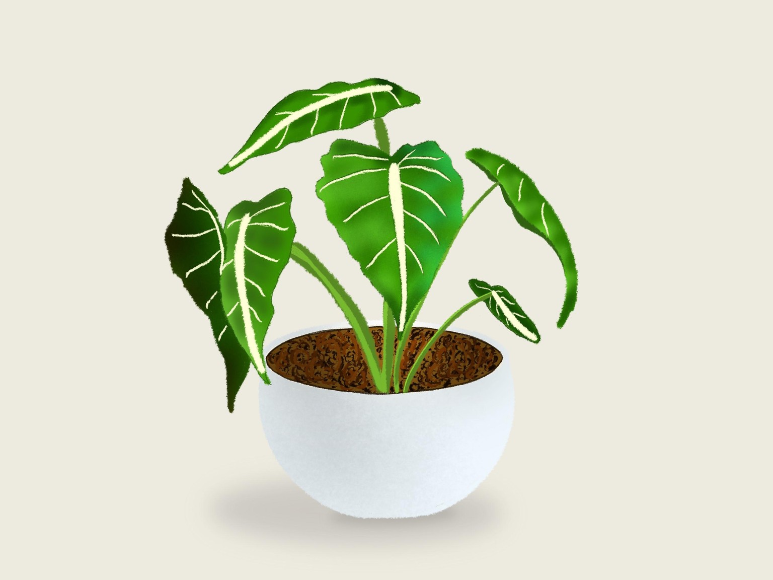 Plant - image 1 - student project